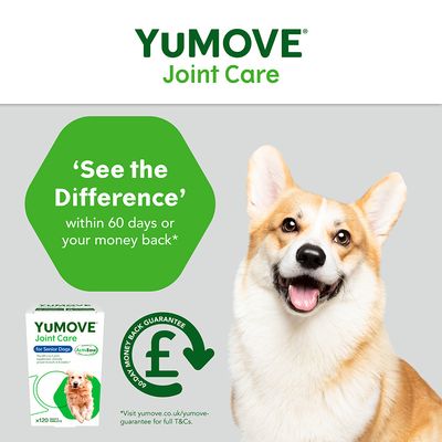 YuMOVE Gelenkpflege für ältere Hunde