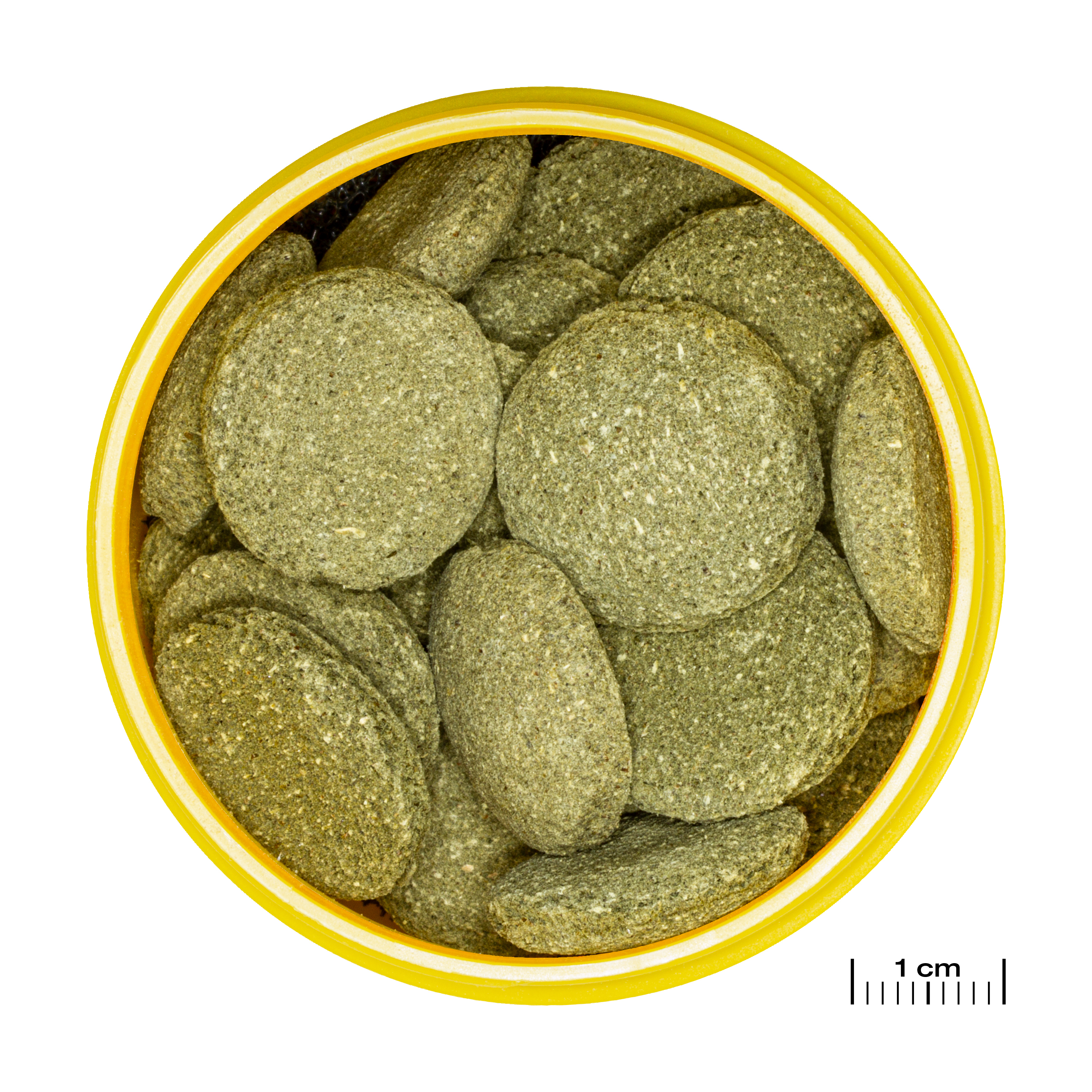 JBL Hauptfutter JBL PRONOVO PLECO WAFER Futtertabletten für herbivore Saugwelse XL 250 ml
