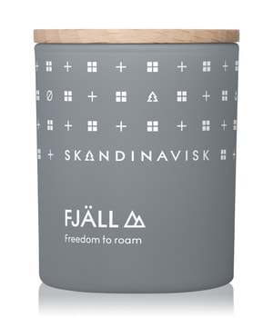 SKANDINAVISK FJÄLL Duftkerze 65 g