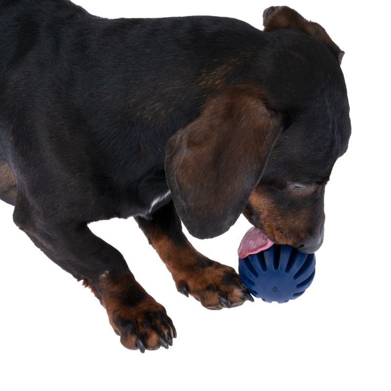 Nomad Tales Bloom Snack-Ball zu TOP-Preisen