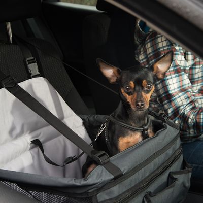 Autositz Booster