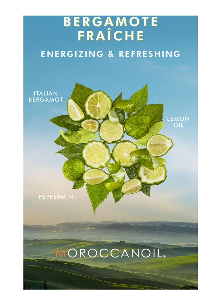 Moroccanoil Fresh Bergamot Body Lotion