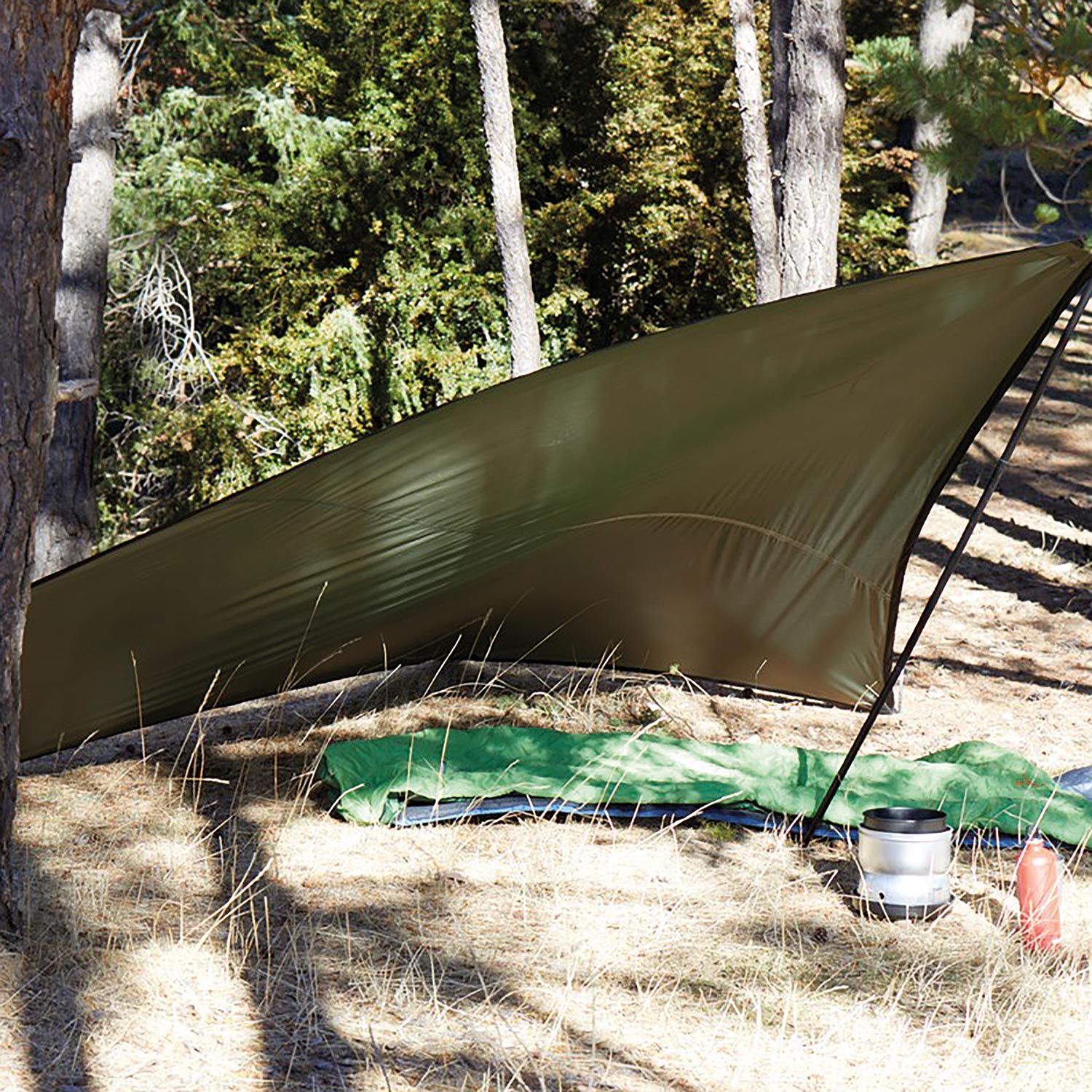 Tarp Zuni Ray