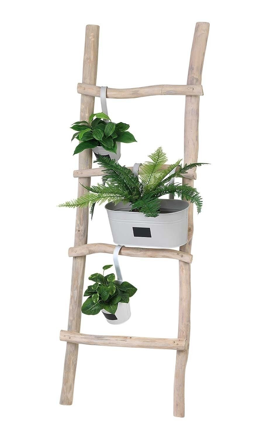 Dekoleiter DELIA, B 50 x H 150 cm, Holz, mit 4 Stufen