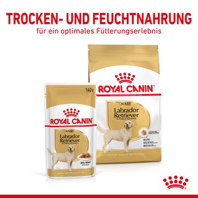 Royal Canin Labrador Retriever Adult in Soße