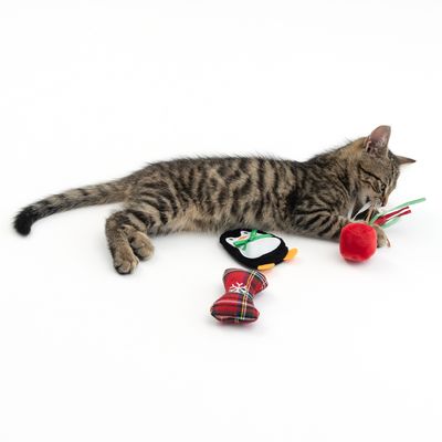 TIAKI Katzenspielzeug-Set Pinguin