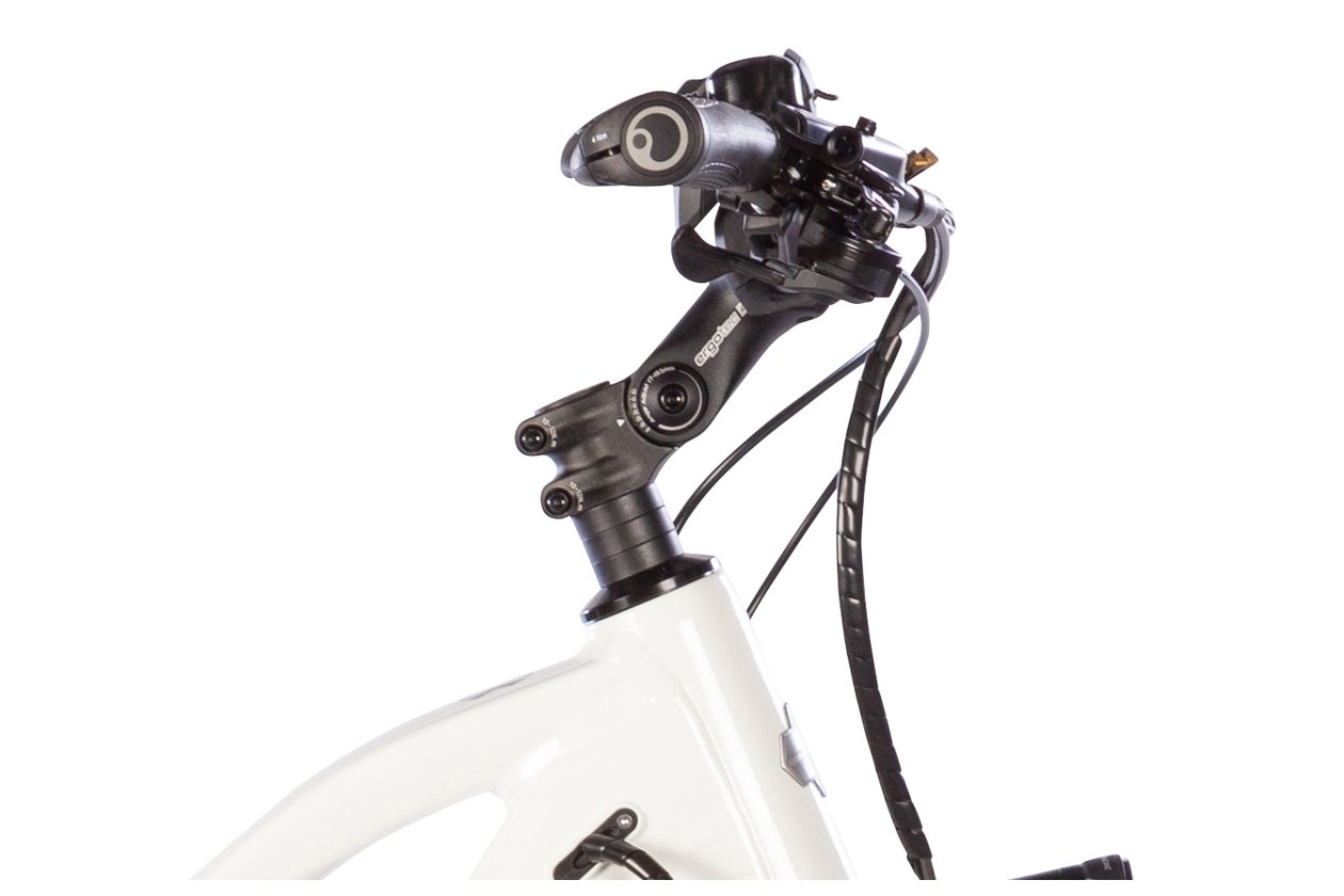 Carver Route E.430 - 500 Wh - 2022 - 28 Zoll - Damen Sport