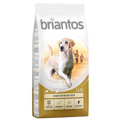 Briantos Sparpaket (2 x Großgebinde)