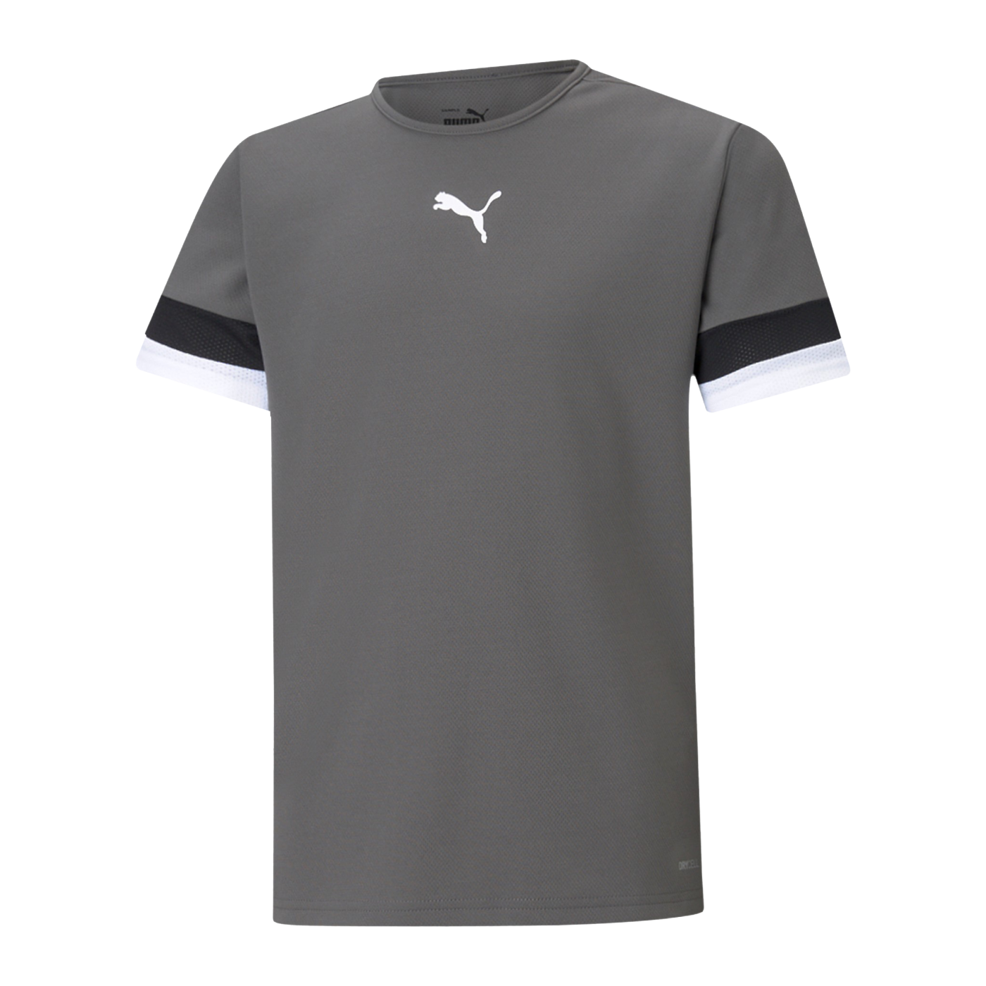 PUMA teamRISE Trikot Kids Grau F13