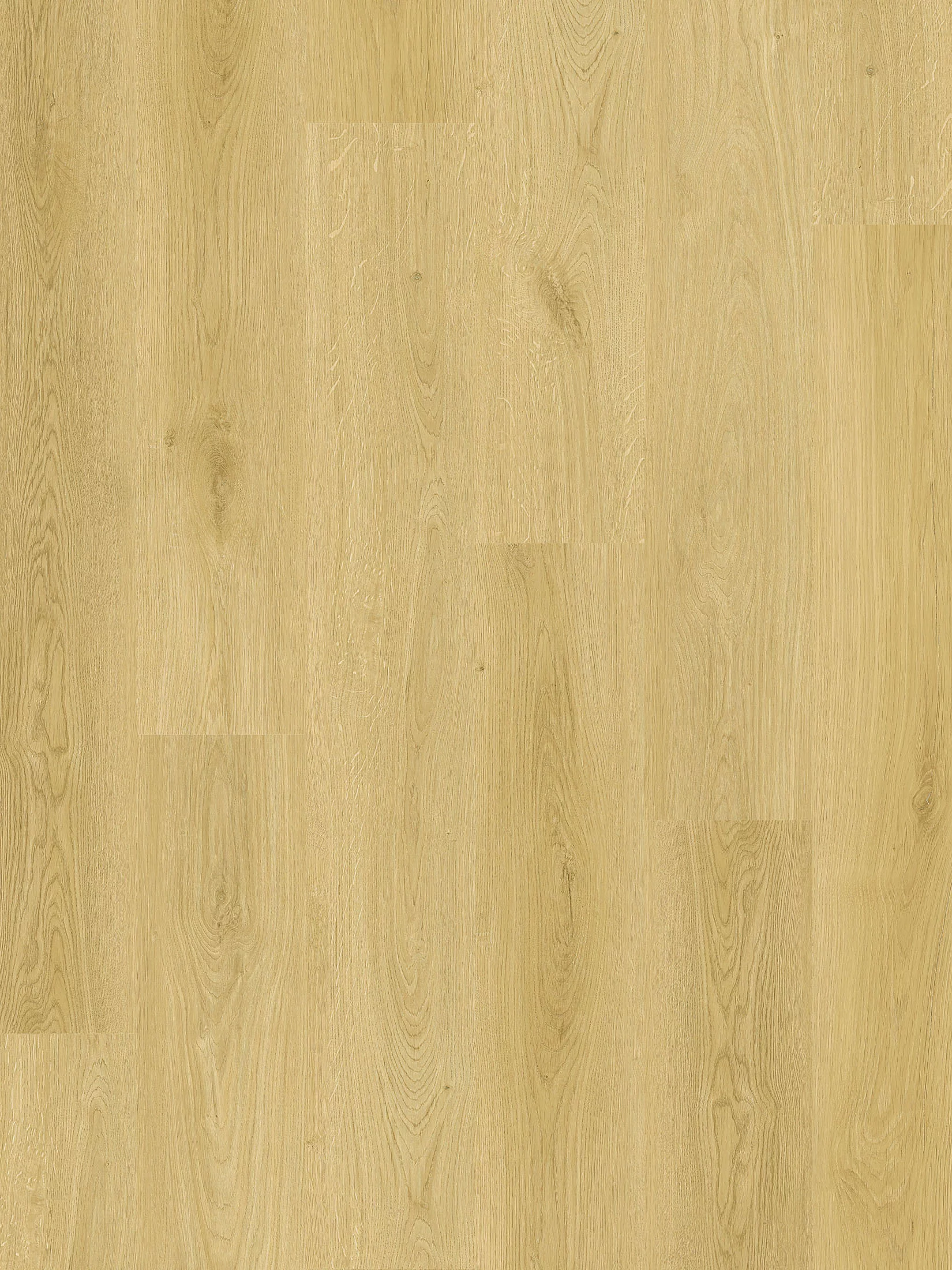 Whisper Wood Vinylboden, Elegance Pine 10553