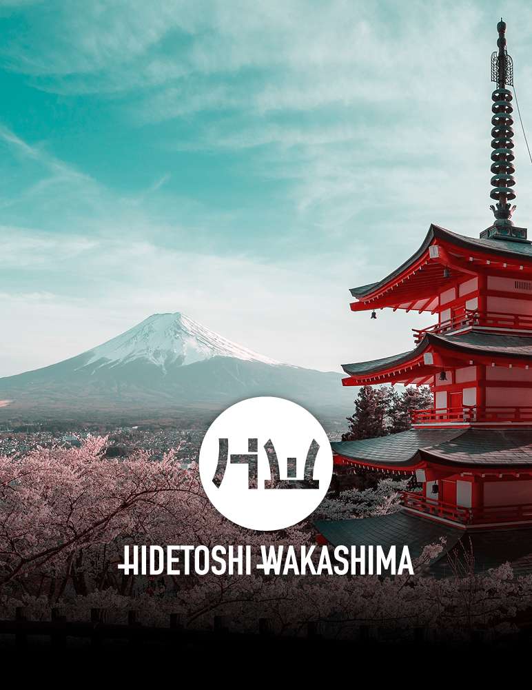 HIDETOSHI WAKASHIMA 