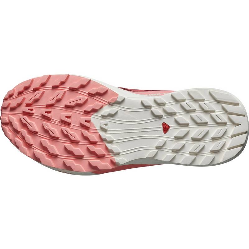 Salomon SENSE RIDE 5 Laufschuhe Damen