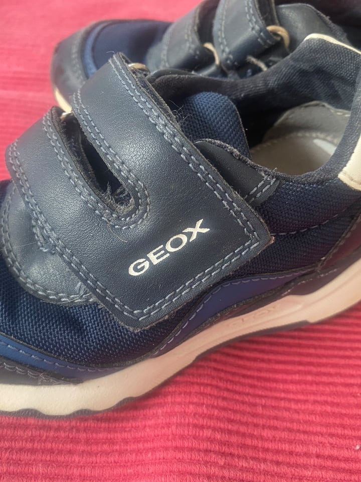 Geox Sneakers 