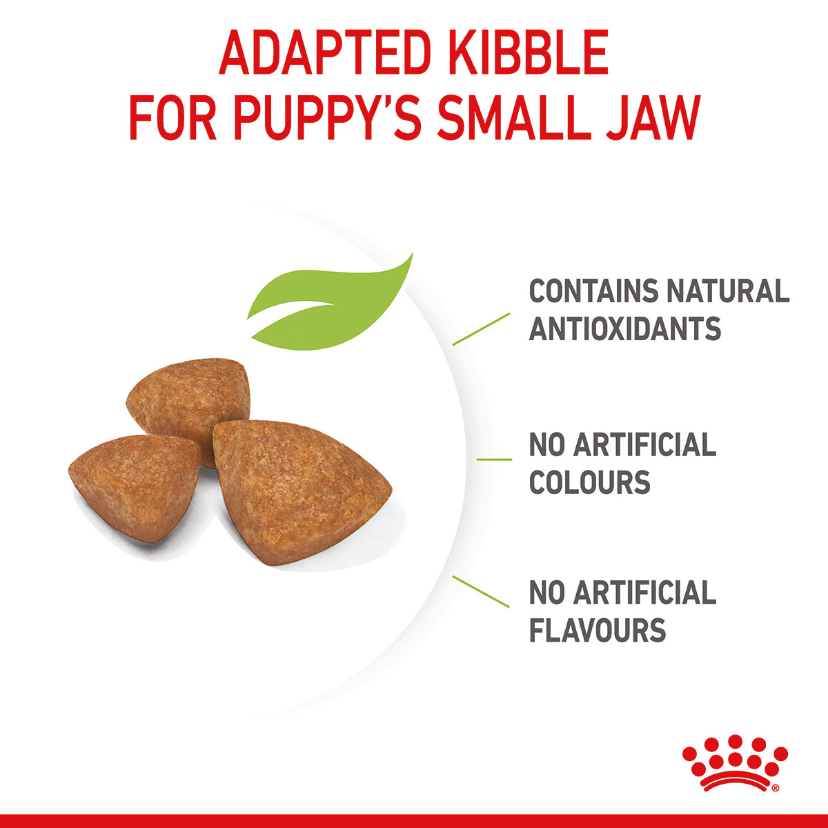 ROYAL CANIN X-SMALL Puppy Trockenfutter für Welpen sehr kleiner Hunderassen