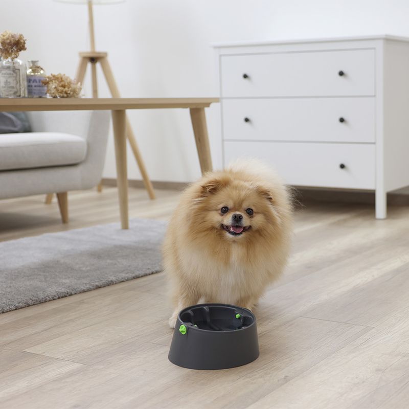 Kerbl Pet Multifeeder 3-in-1 Set zu TOP-Preisen