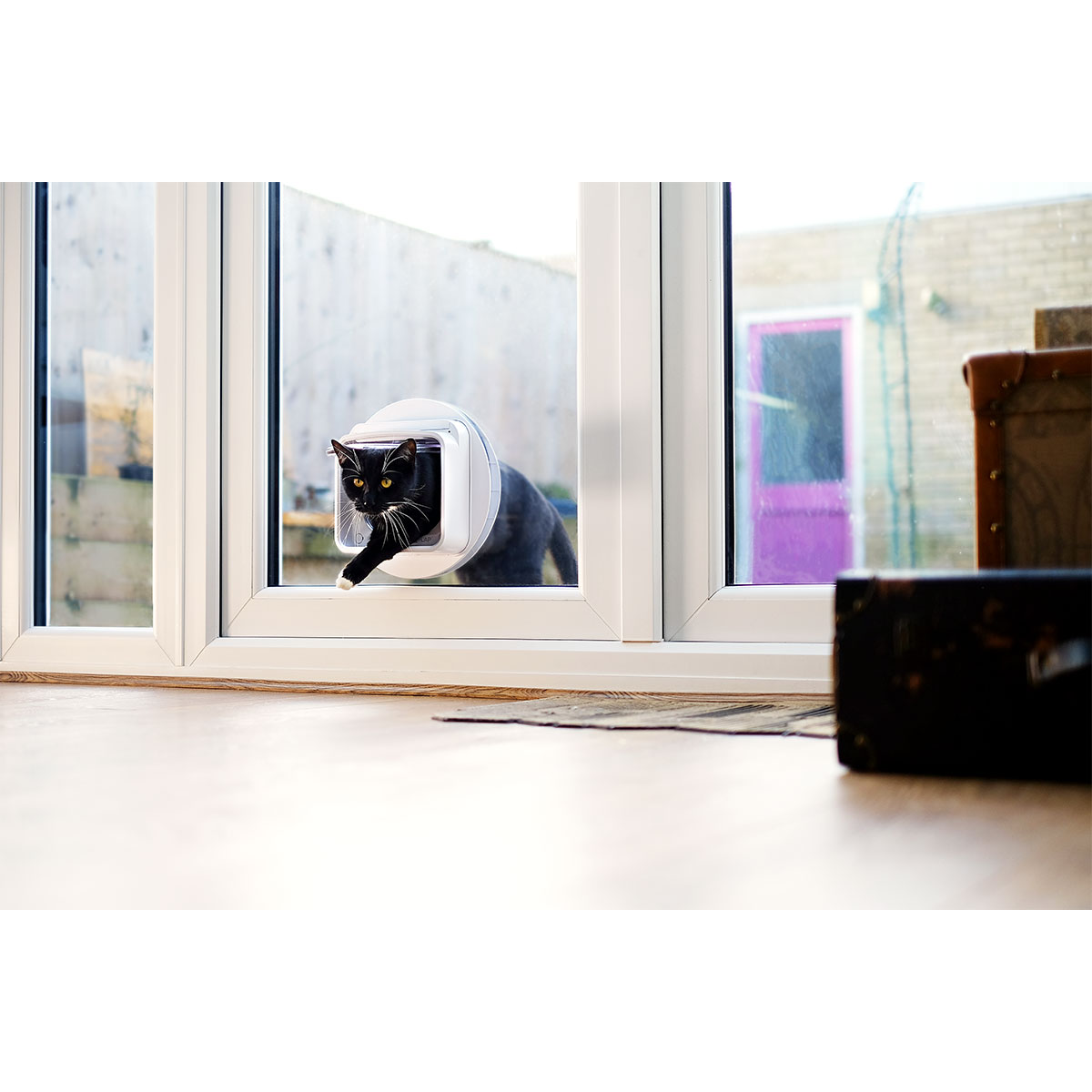 SureFlap Mikrochip Katzenklappe Connect kaufen