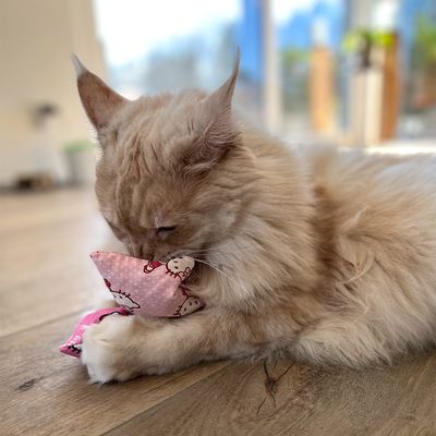 Aumüller Hello Kitty Katzenspielkissen