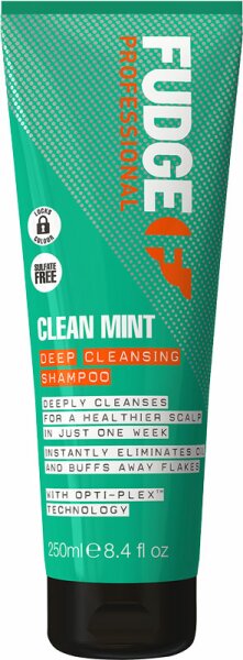 Fudge Clean Mint Shampoo