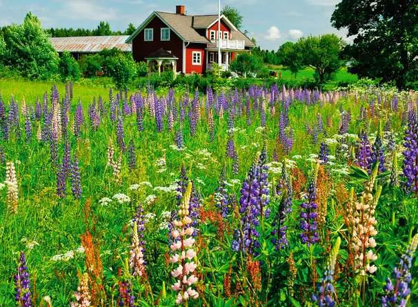 Puzzle 500 Teile - Farm in Sweden