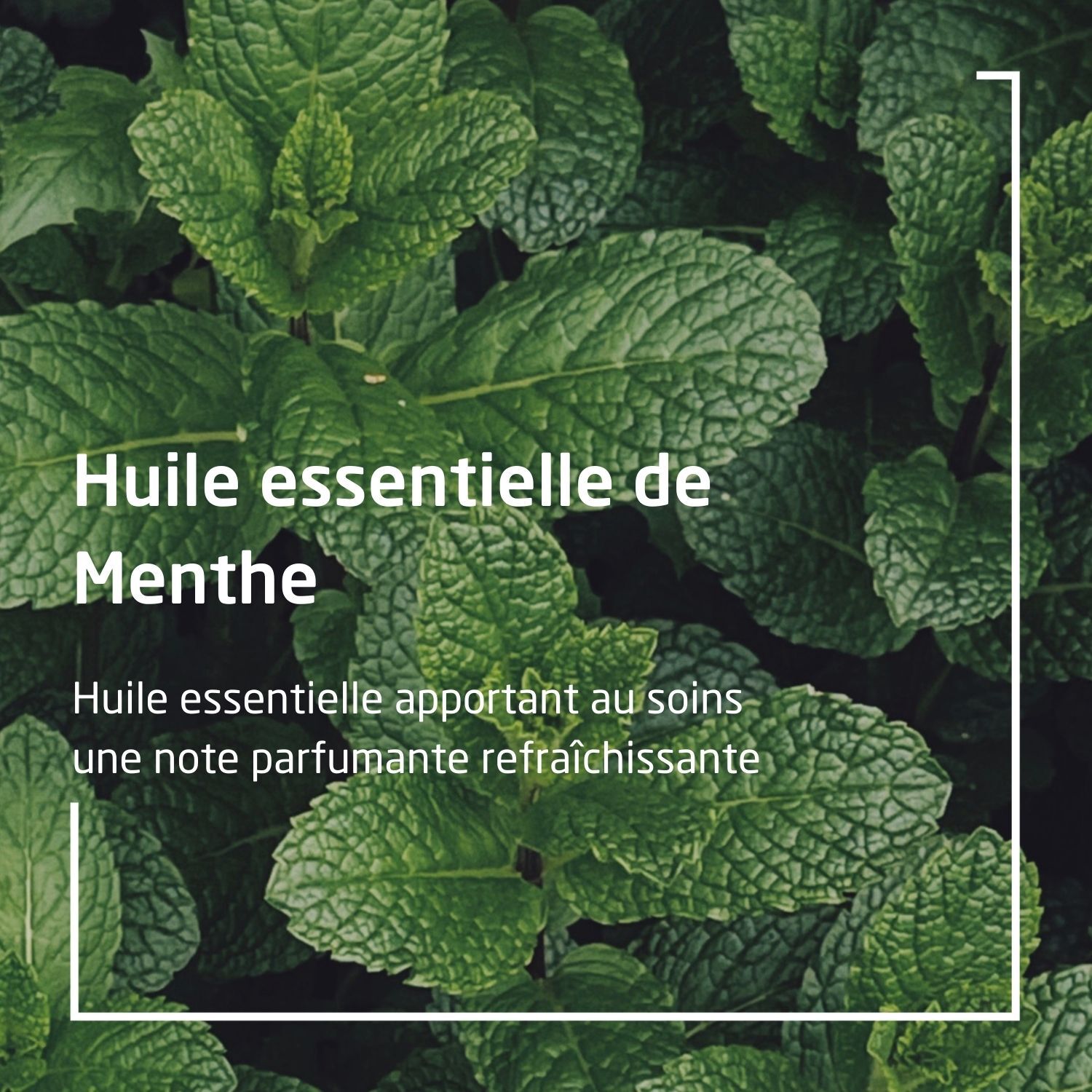 Weleda Menthe Fraîche Kids Crème de Douche 2en1 - Corps et Cheveux pour Enfant - 150 ml