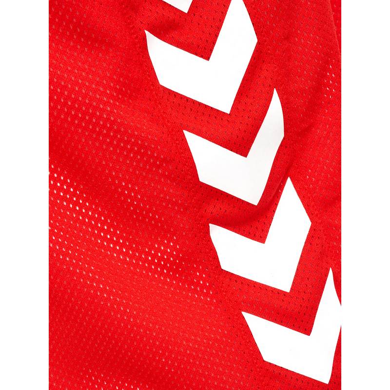 hummel hmlCORE XK REVERSE BASKET JERSEY Fußballtrikot Herren