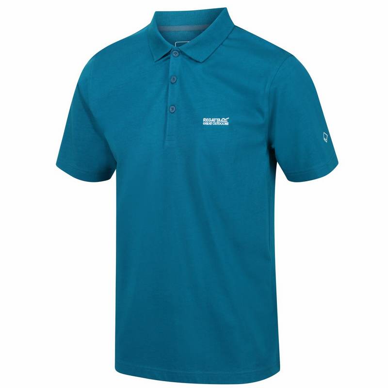 Regatta Sinton Poloshirt Herren