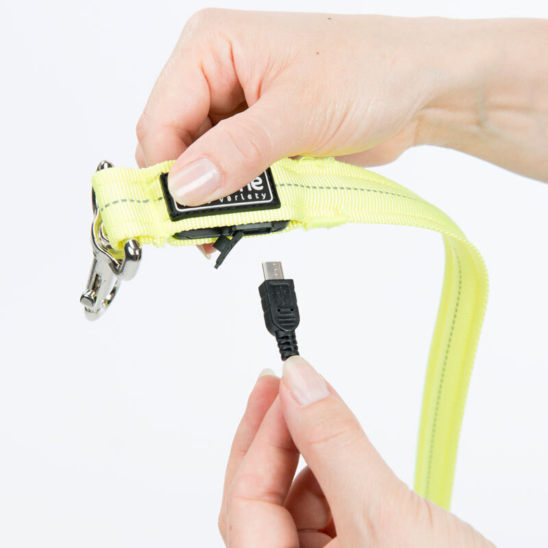 AniOne Hundeleinen AniOne LED-Leucht-Joggingleine