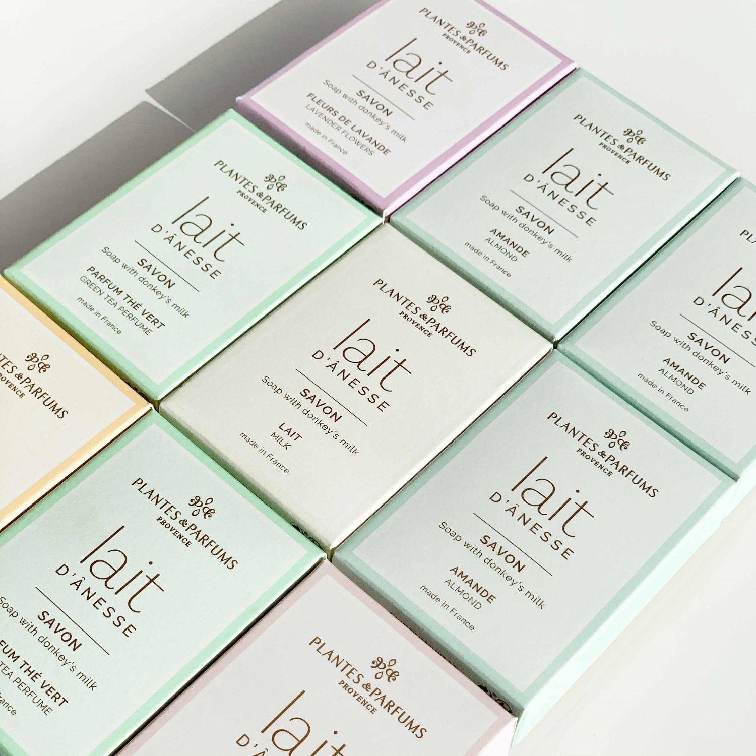 Pflanzen & Parfums: Eselsmilch-Mandelduft