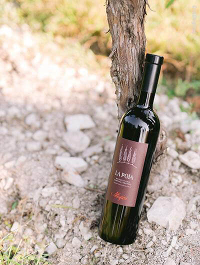 Allegrini : La Poja Corvina Veronese 2017