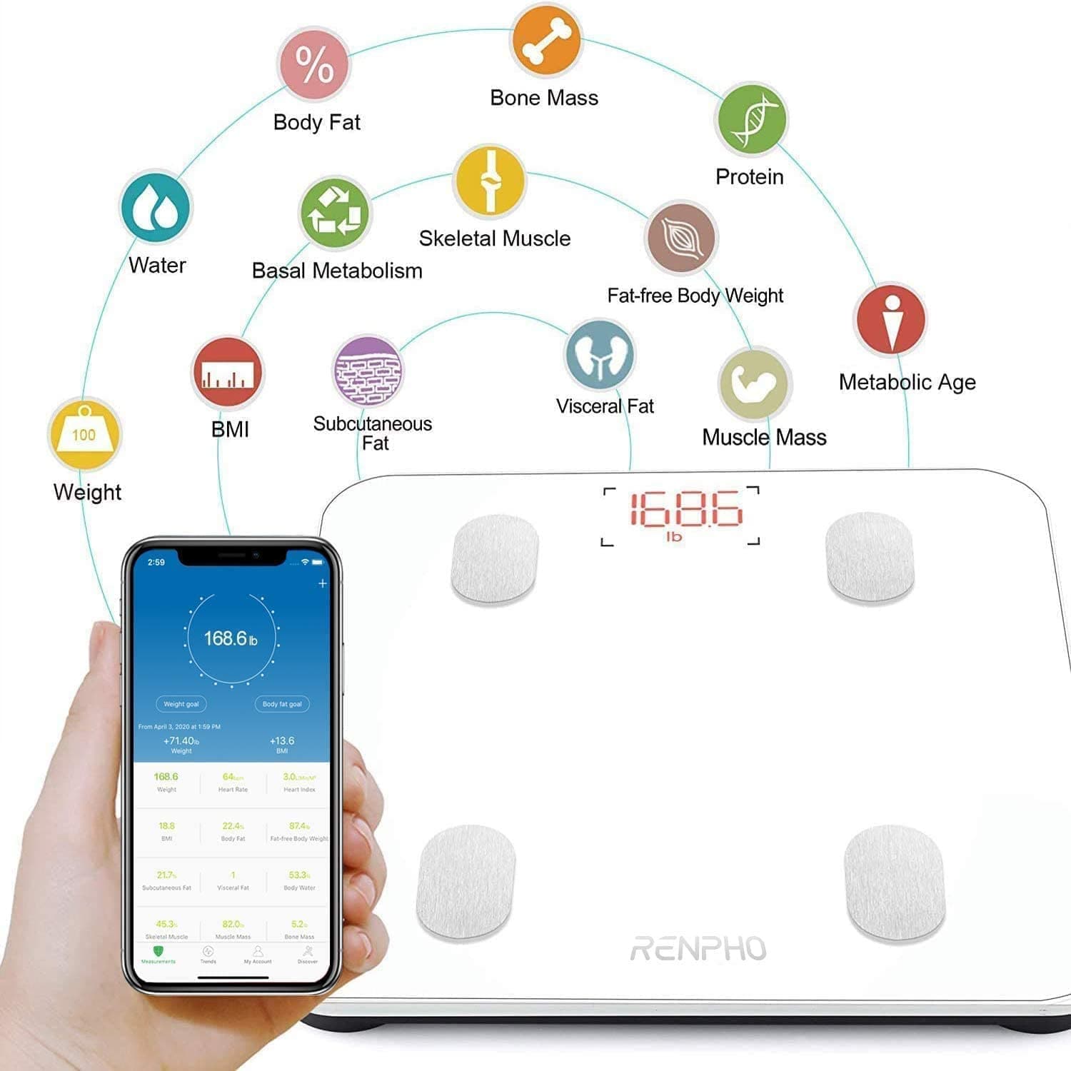 Intelligente Körperfettwaage - Lite