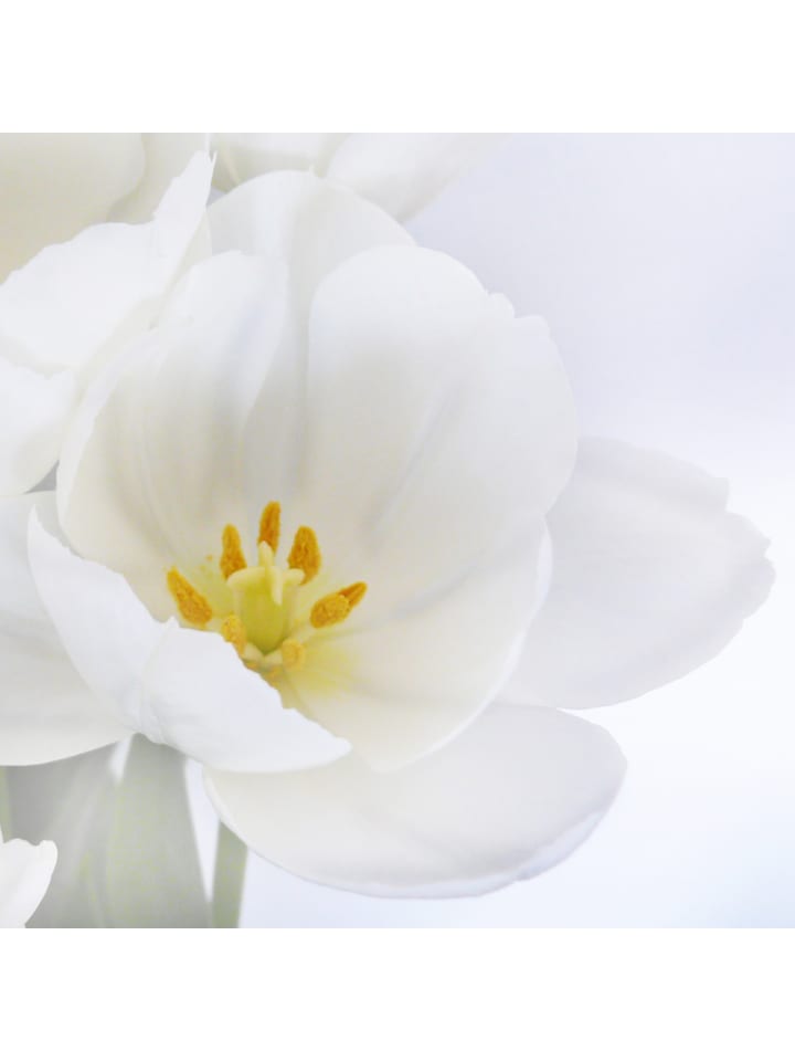 MCW Foto-Paravent Bagheria, 180x120cm, Orchidee günstig kaufen onesize