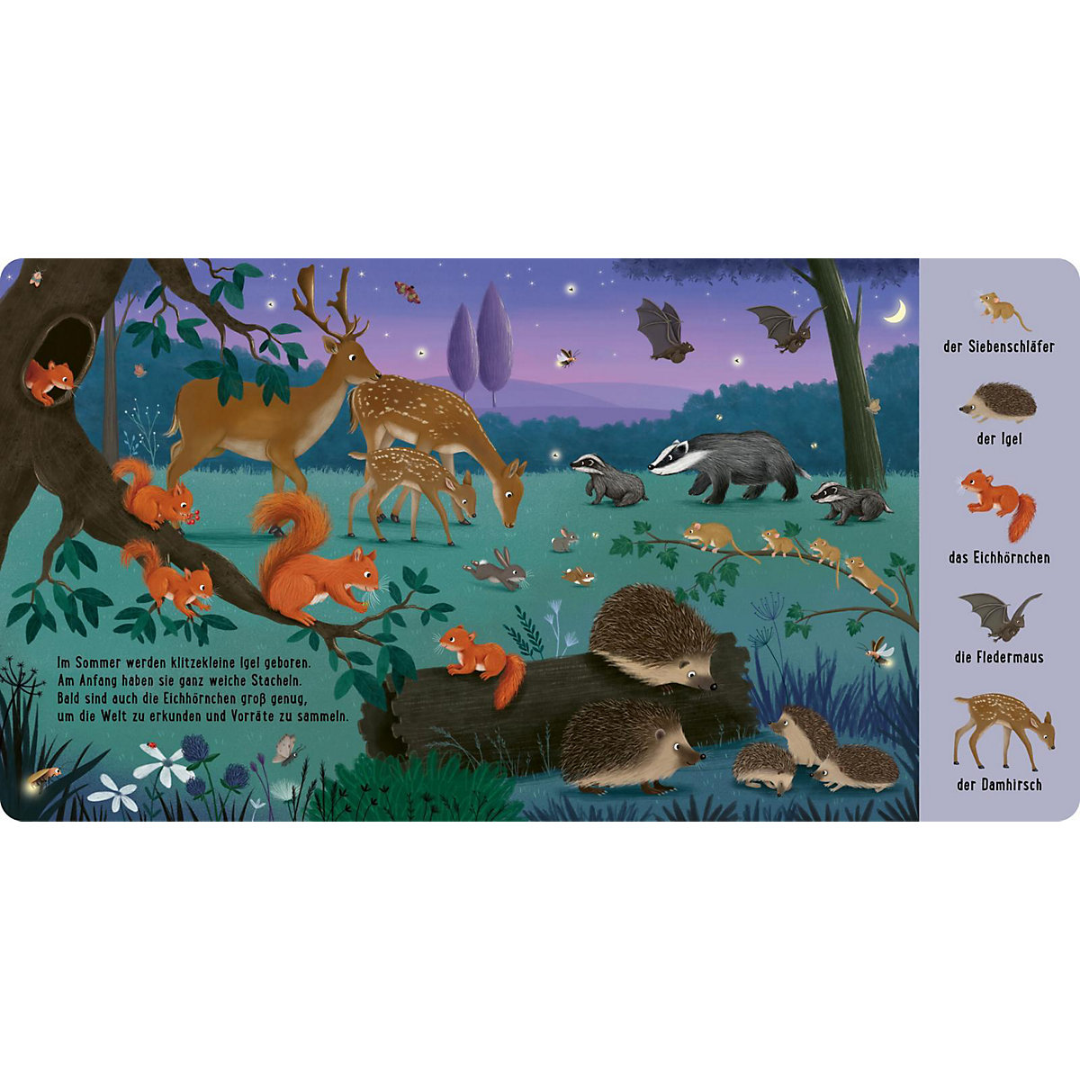 Mein erstes Natur-Wimmelbuch: Bei den Tierkindern