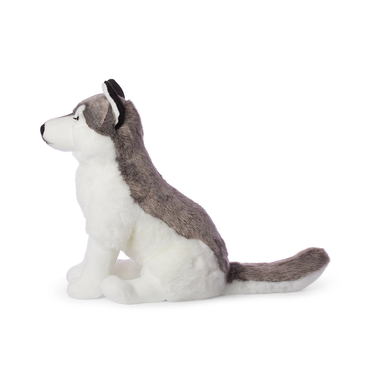 tier Husky [sitzend] (70cm)