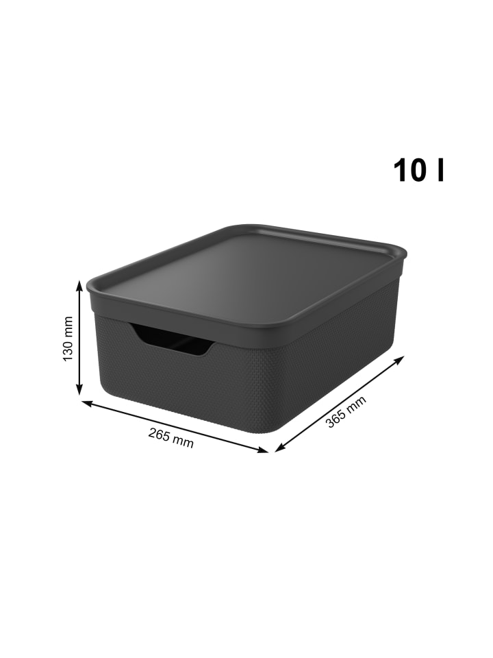 Rotho 3er Set Aufbewahrungsbox mit Deckel 10L JIVE in Holzkohle schwarz ged. günstig kaufen onesize