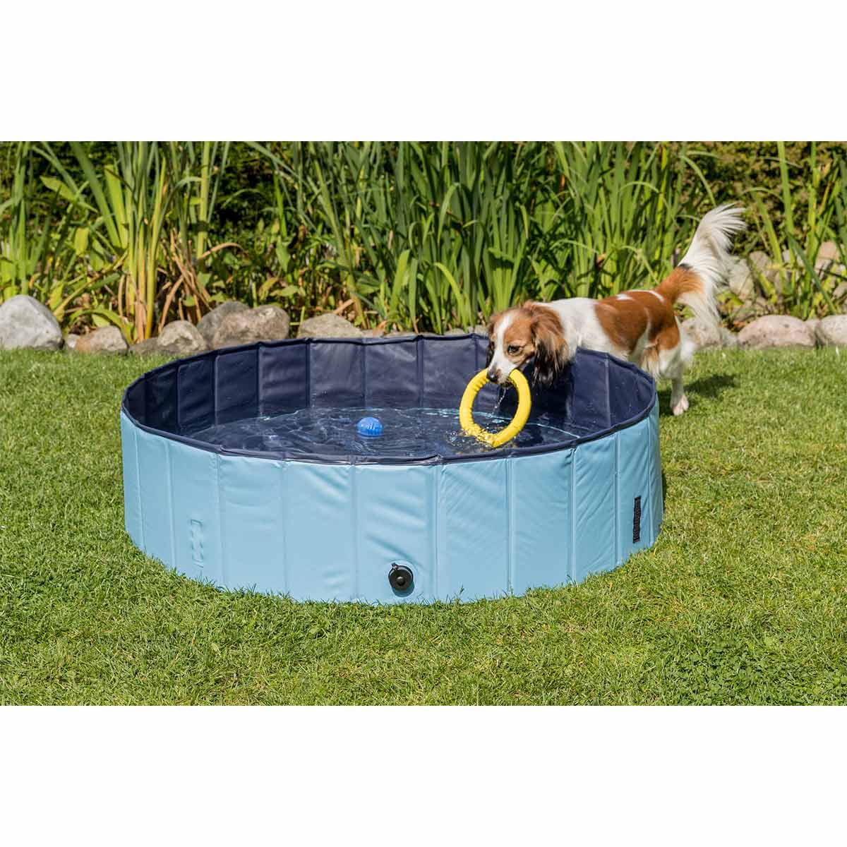 Trixie Hundepool hellblau günstig kaufen bei ZooRoyal
