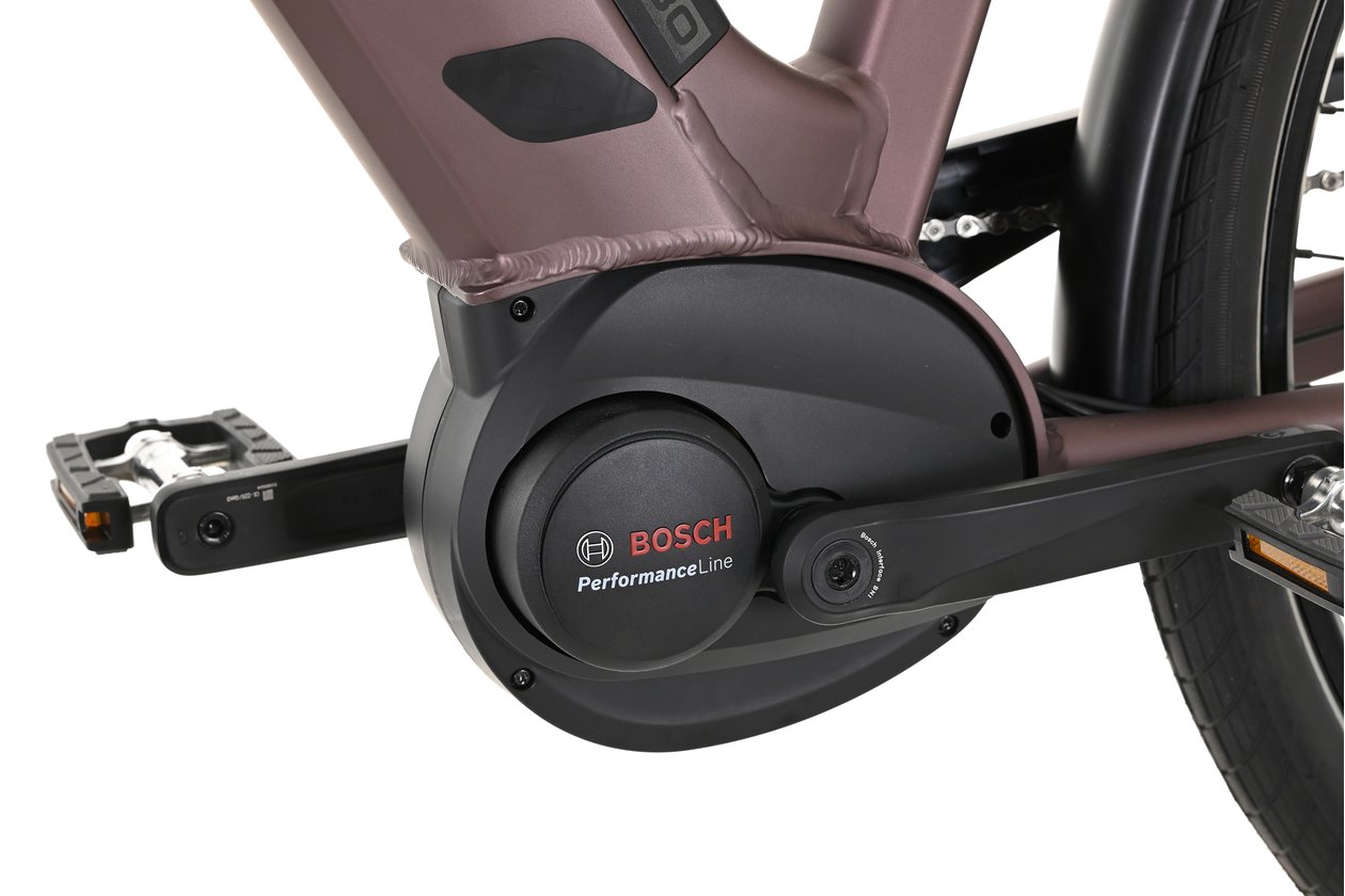 Carver Cityzen E.430 FL - 500 Wh - 2023 - 28 Zoll - Tiefeinsteiger