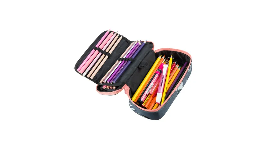 schneiders Stiftebox TIGRESS GREY