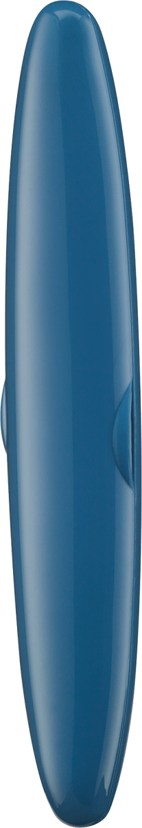 Reise-Etui für Zahnbürsten blau, 1 St
