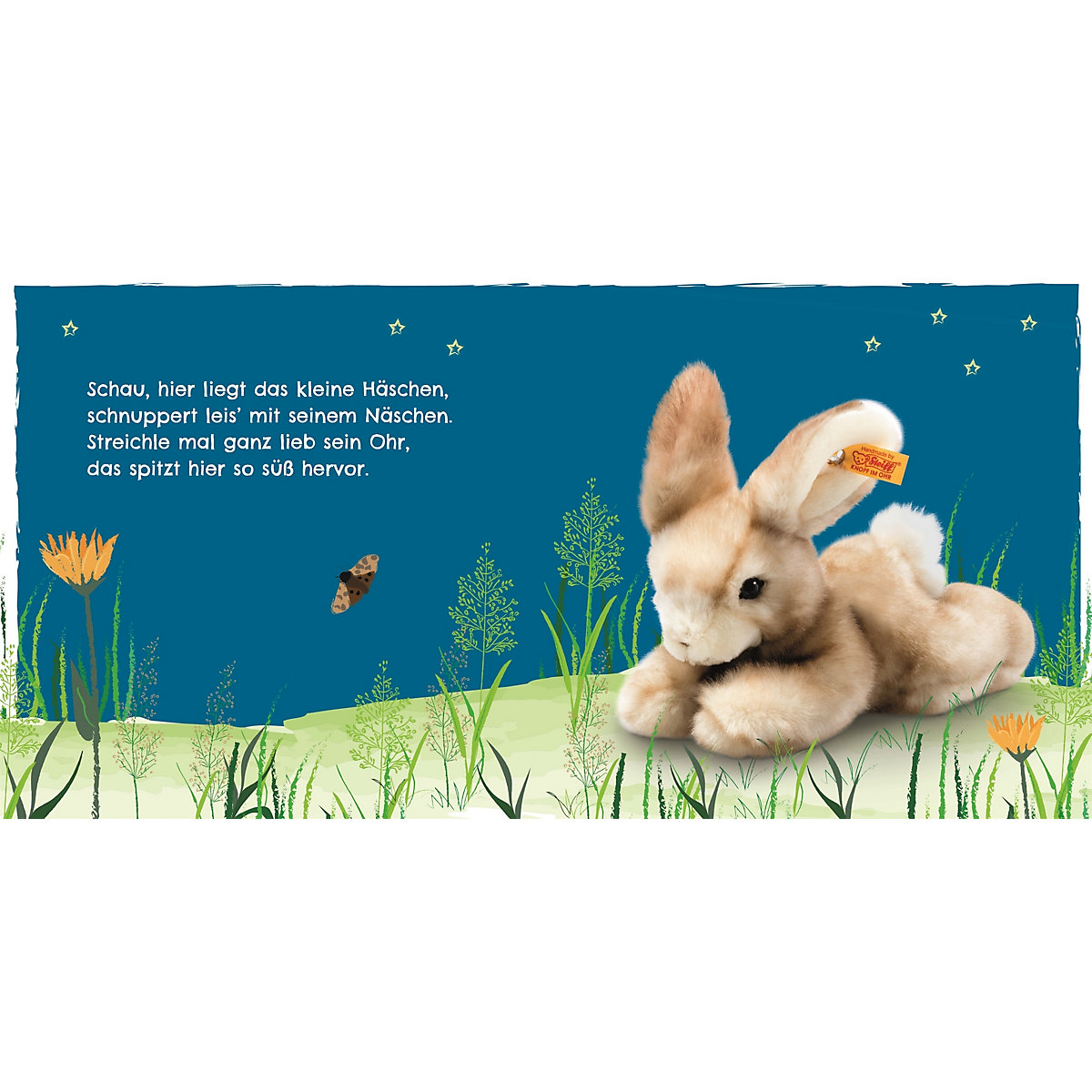 Mein liebstes Kuscheltierbuch: Schlaf gut!