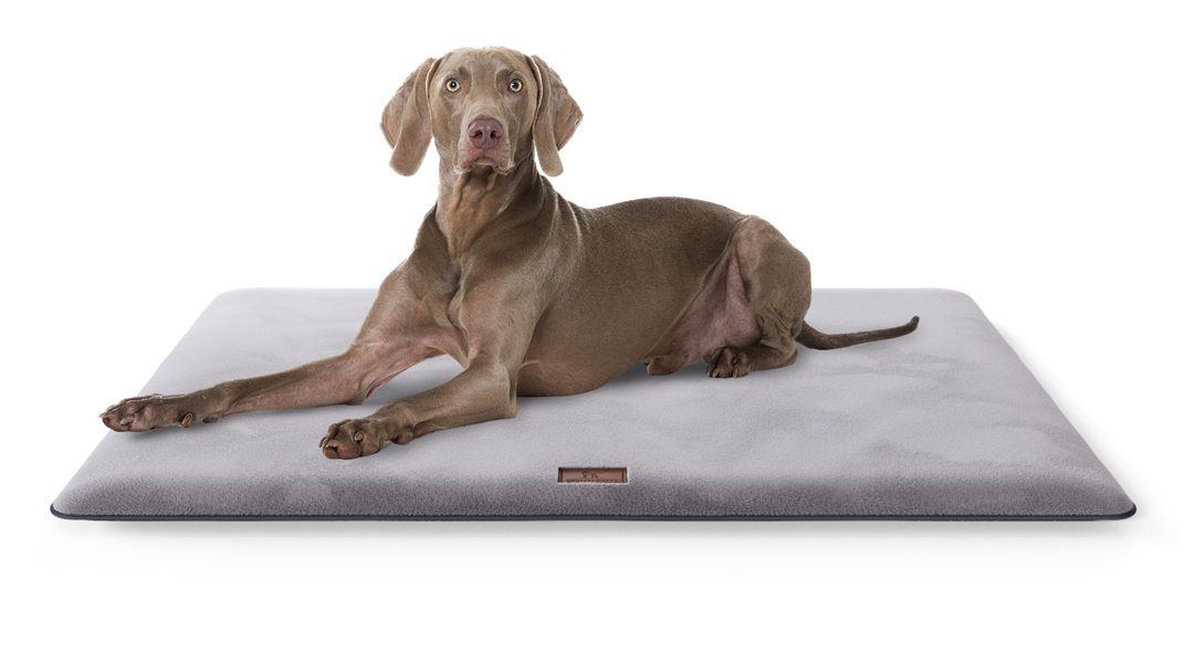 Knuffelwuff Hundematten Knuffelwuff Kuschelige Hundematte Sunport aus weichem Kaninchen Fellimitat grau M-L