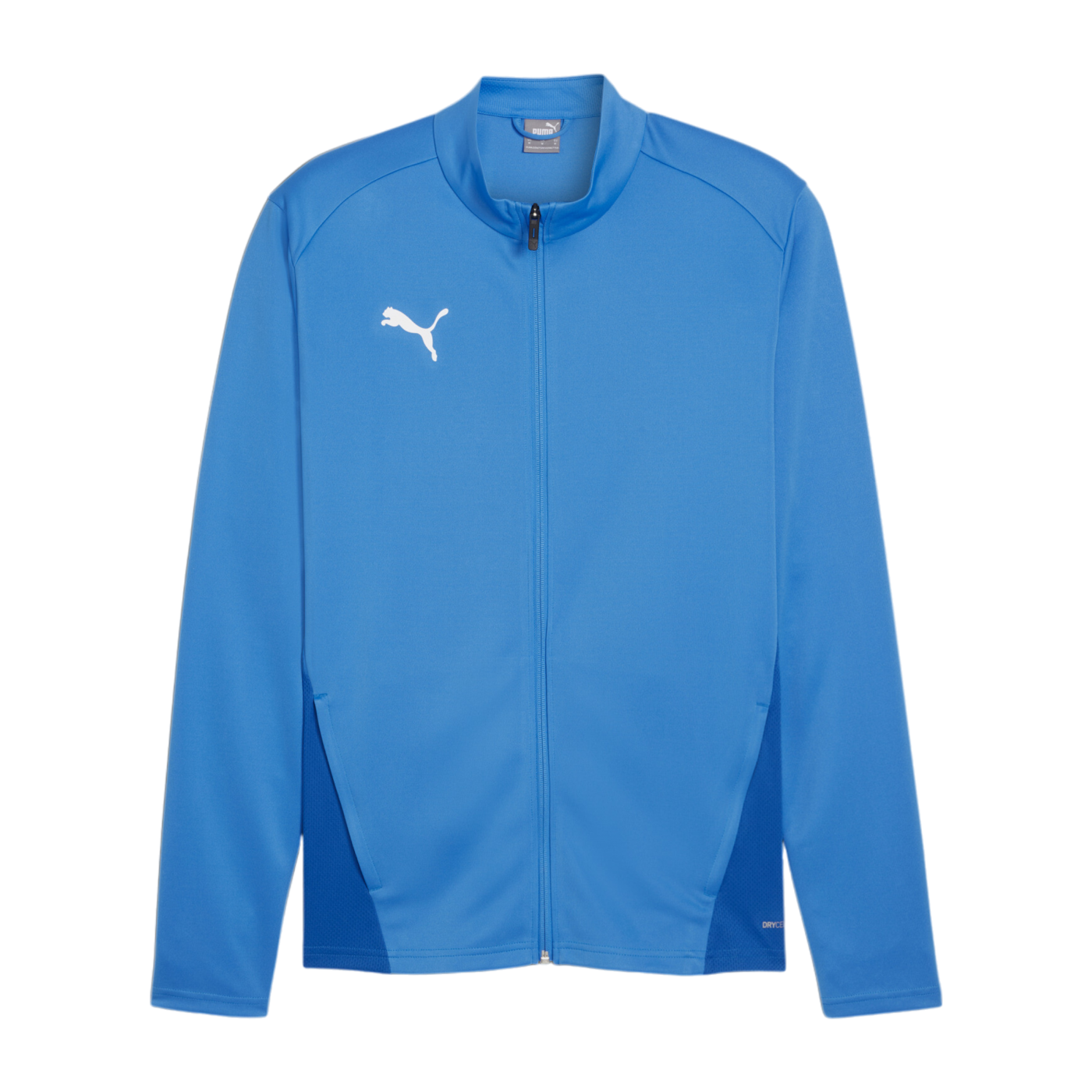 PUMA teamGOAL Training 1/4 Zip Sweatshirt Blau F02