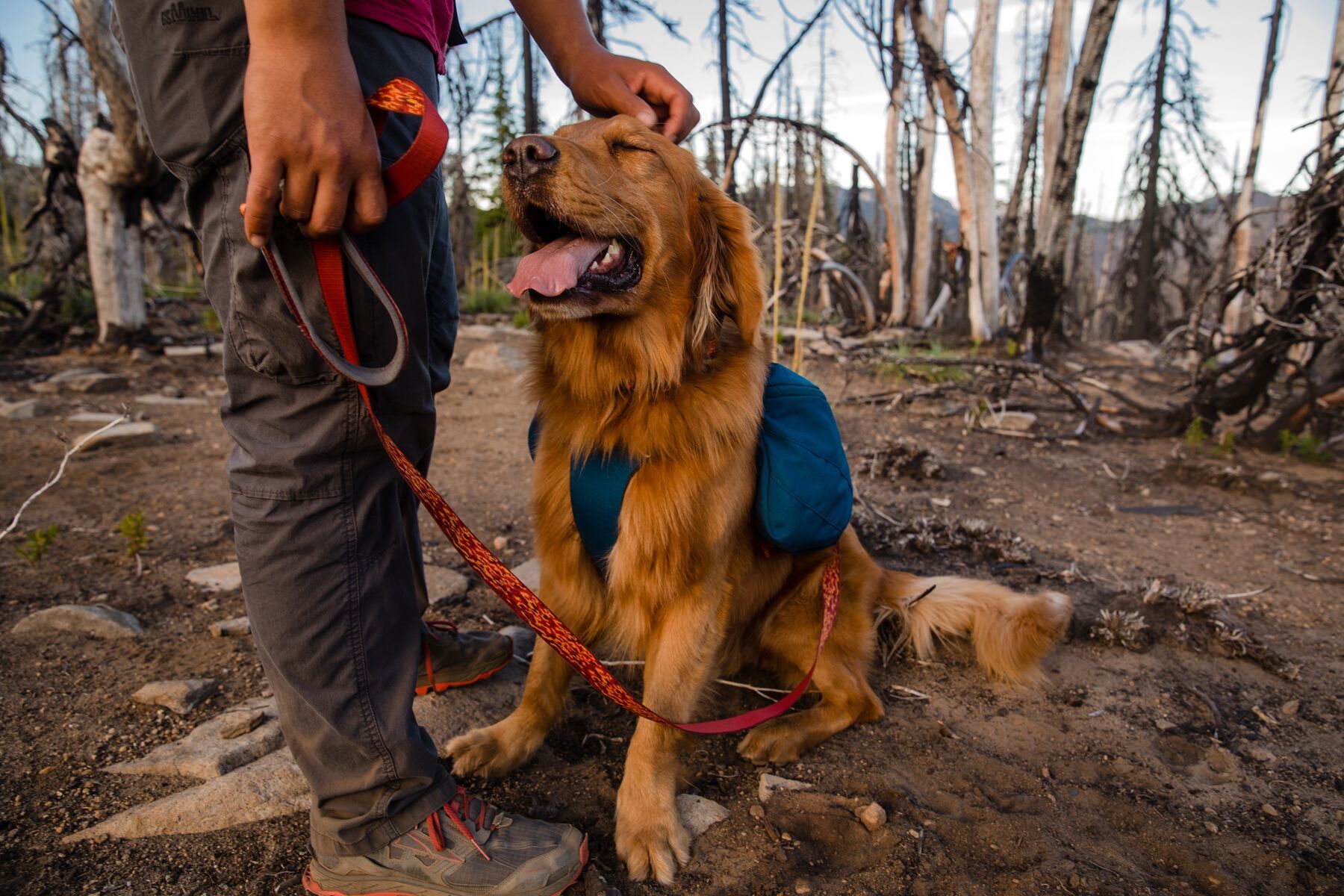 Ruffwear Hundeleinen Ruffwear Flat Out™ Leine rot/ gelb