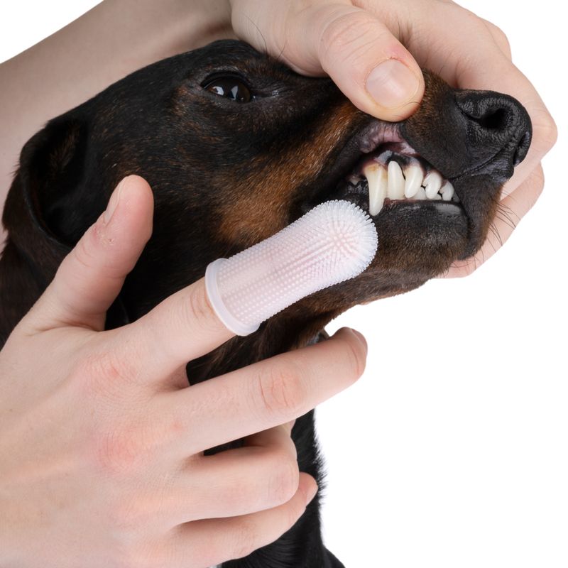 kooa Zahnpflegefinger aus Silikon zu TOP-Preisen