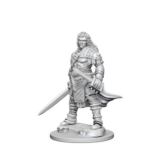 Human Male Fighter: Pathfinder Deep Cuts Unpainted Minis