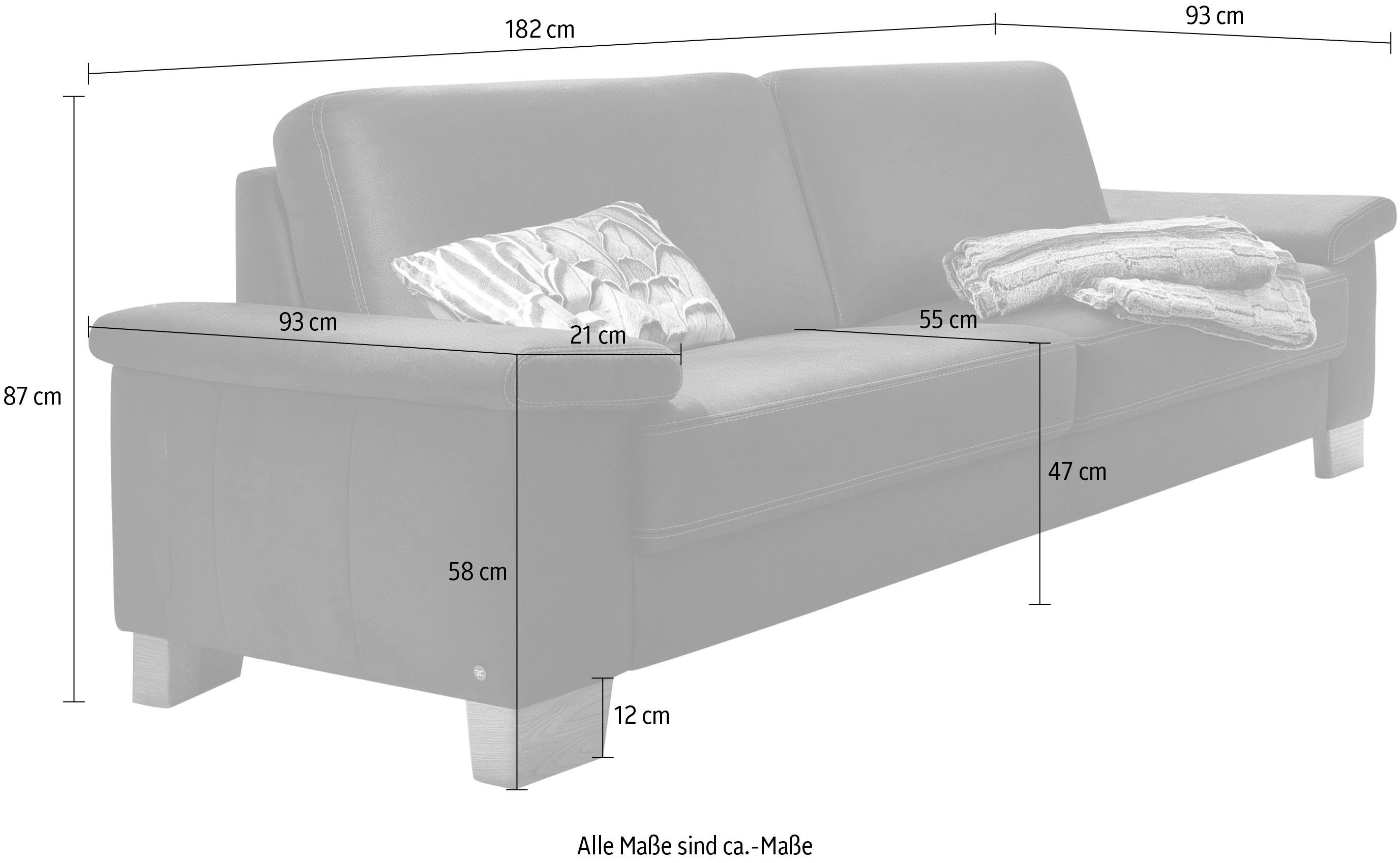 3C Carina 2,5-Sitzer Teramo, incl. 2 Kopfstützen, Federkern-Polsterung