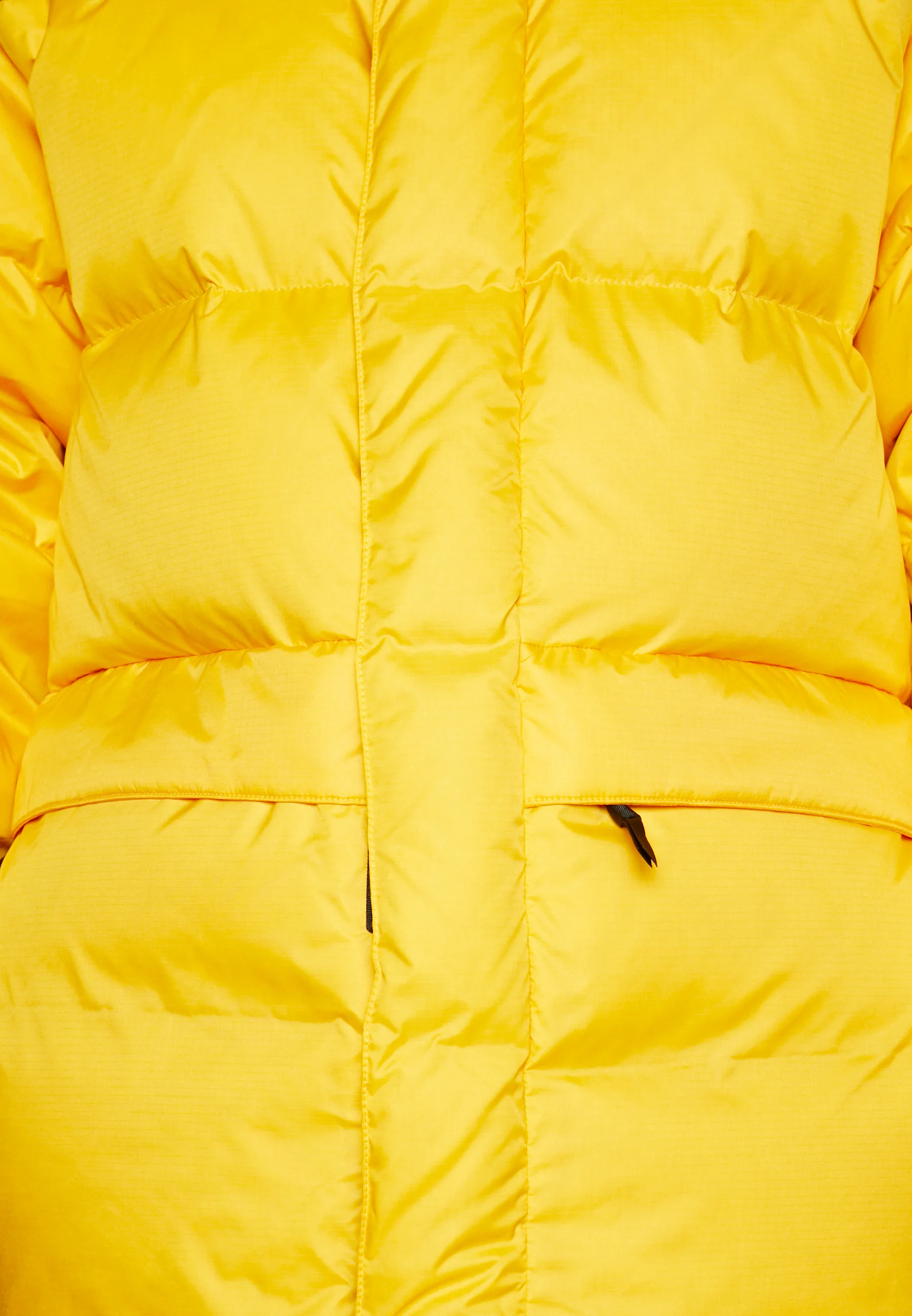 Chaqueta de plumas The North Face
