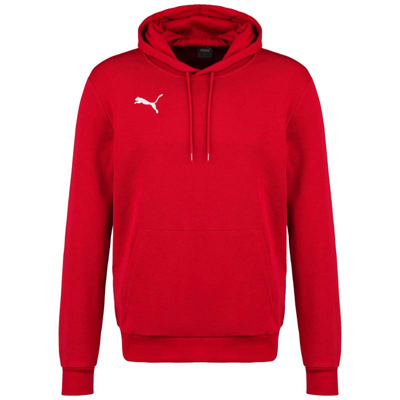PUMA TeamGoal 23 Casuals Hoodie Herren