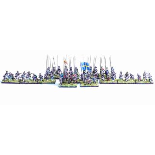 Swedish national infantry regiment