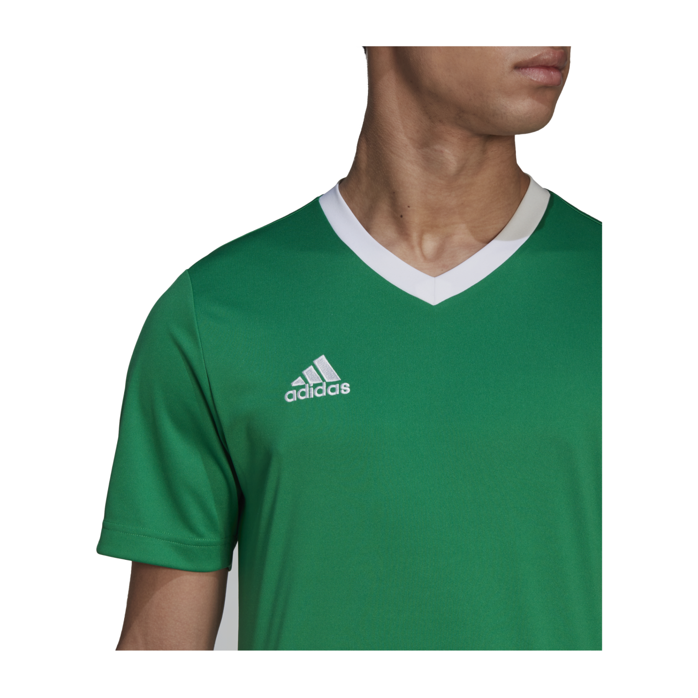 adidas Entrada 22 Trikot Grün