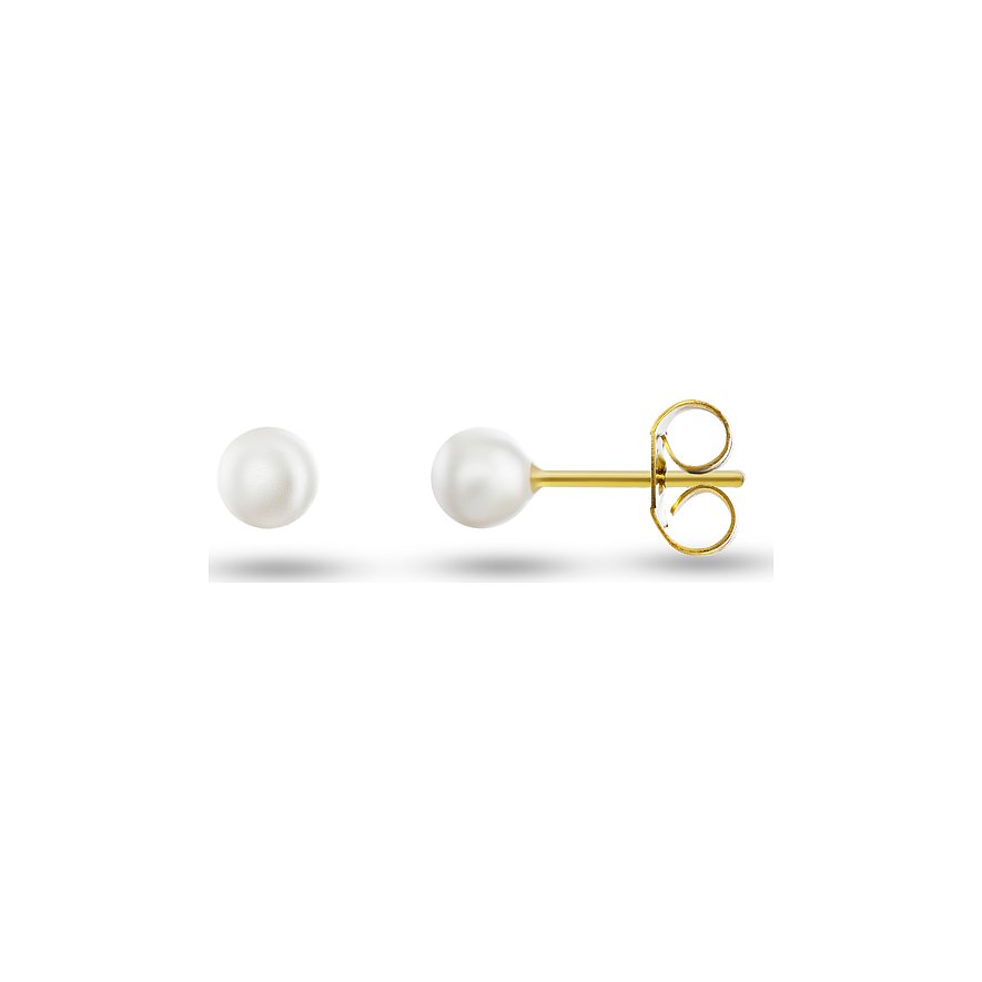 FAVS Ohrstecker